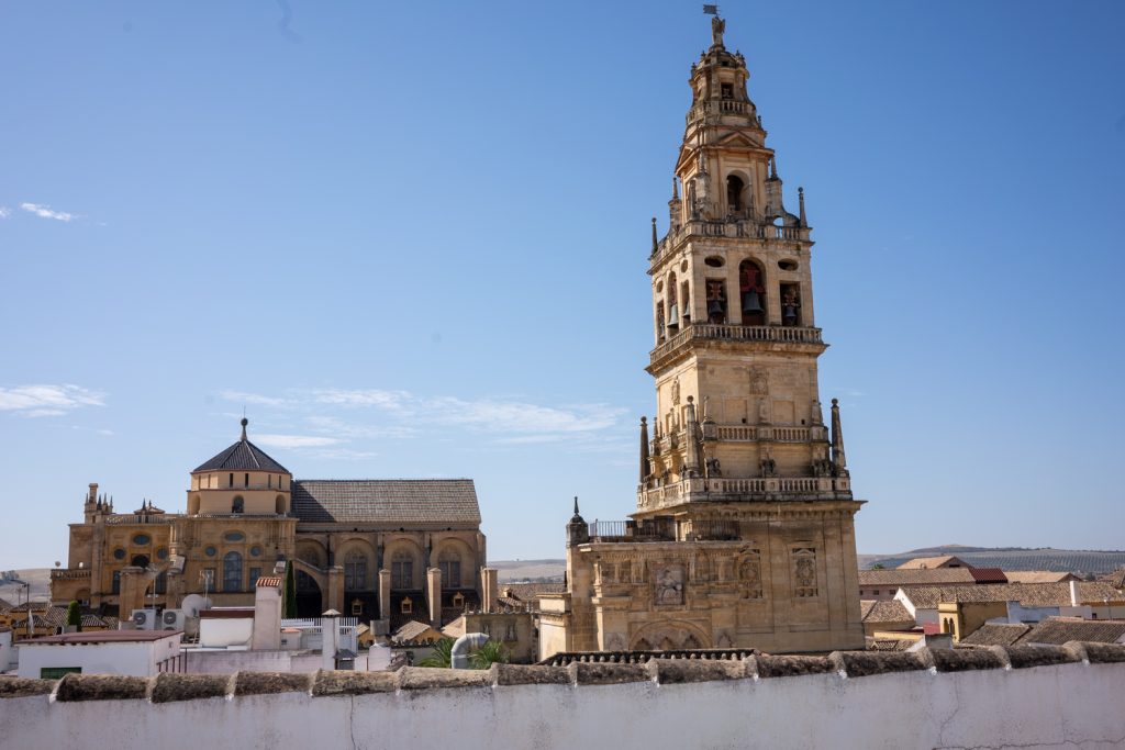 calleja hoguera 24 1